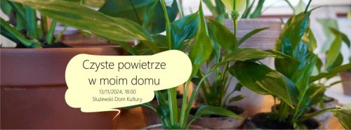 „Czyste powietrze w moim domu” - Warsztaty florystyczne 